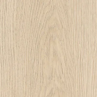 Sand Oak